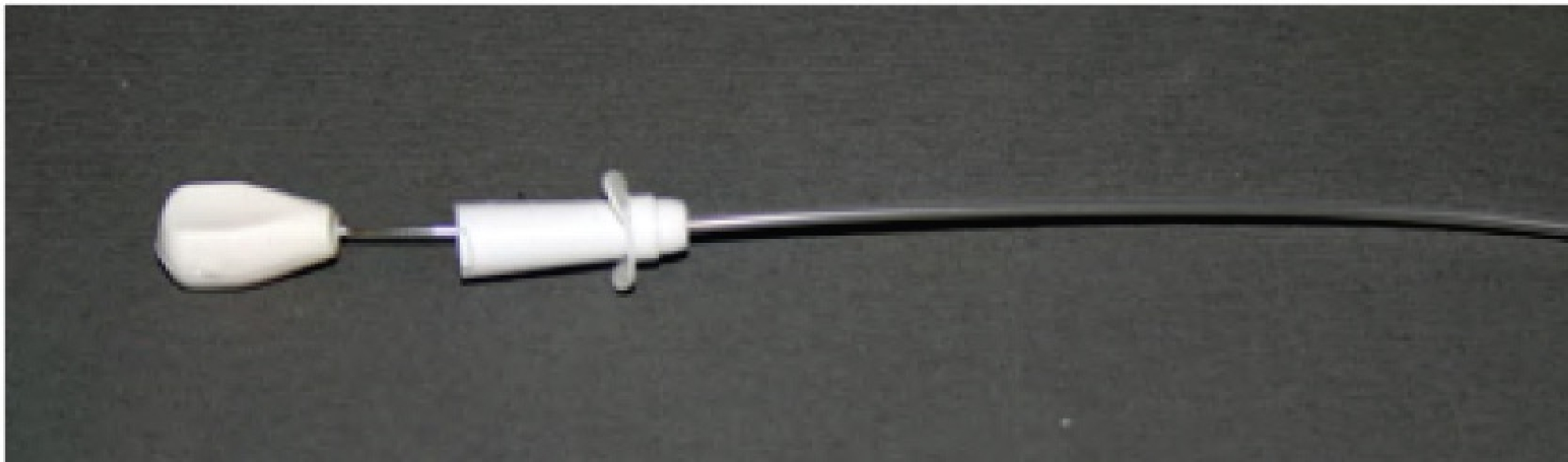 CAT CATHETERS WITH STYLET